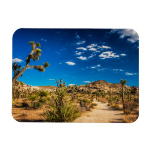 Wüsten   Joshua Tree Nationalpark Magnet