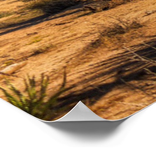 Wüsten | Joshua Tree Nationalpark Poster (Ecke)