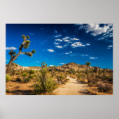 Wüsten | Joshua Tree Nationalpark Poster (Vorne)