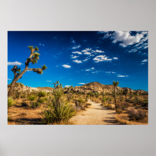 Wüsten   Joshua Tree Nationalpark Poster