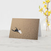 Wüsten | Kuhschädel auf dem Wüstenboden Karte (Gelbe Blume)