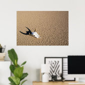 Wüsten | Kuhschädel auf dem Wüstenboden Poster (Heimbüro)