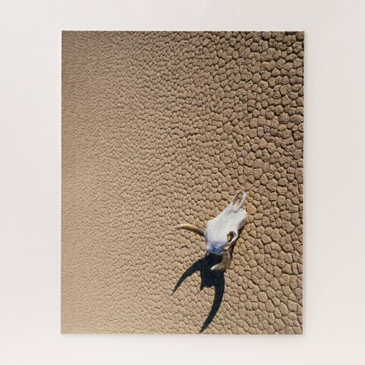 Wüsten | Kuhschädel auf dem Wüstenboden Puzzle (Vertikal)