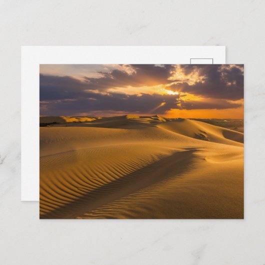 Wüsten | Landschaft der Sanddünen Postkarte (Vorne/Hinten)