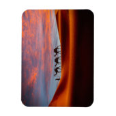 Wüsten | Mann und Kamele in den Sanddünen Magnet (Vertikal)