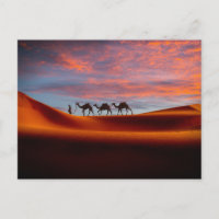 Wüsten | Mann und Kamele in den Sanddünen