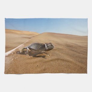 Wüsten   Namaqua Chameleon in der Wüste Geschirrtuch