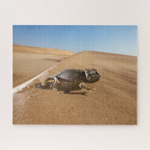 Wüsten   Namaqua Chameleon in der Wüste Puzzle