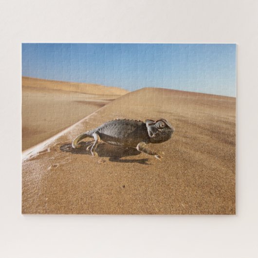 Wüsten | Namaqua Chameleon in der Wüste Puzzle (Horizontal)