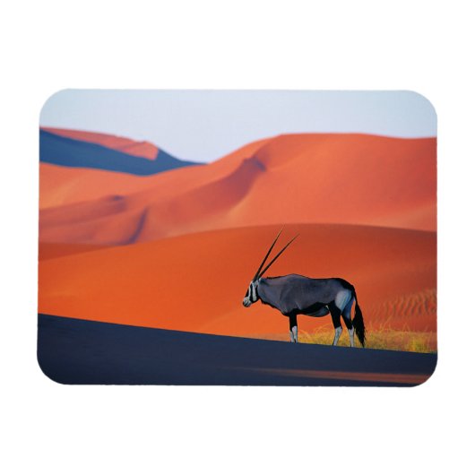 Wüsten | Namib Desert Oryx Magnet (Horizontal)