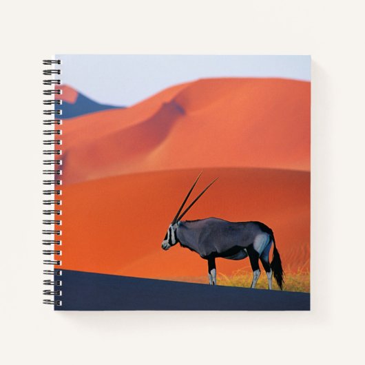 Wüsten | Namib Desert Oryx Notizblock (Vorderseite)