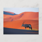 Wüsten | Namib Desert Oryx Postkarte (Vorderseite)
