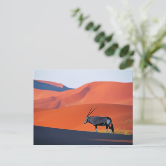 Wüsten | Namib Desert Oryx Postkarte (Stehend Vorderseite)