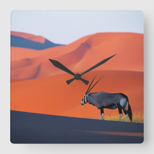 Wüsten | Namib Desert Oryx Quadratische Wanduhr (Vorderseite)