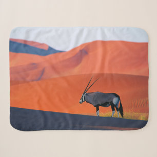 Wüsten Namib Desert Oryx Sherpadecke