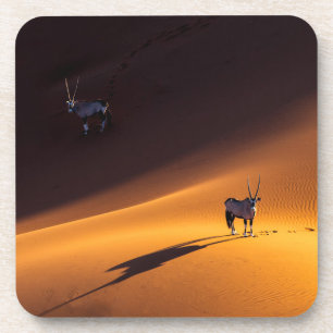 Wüsten Namib Naukluft National Park Kenya Getränkeuntersetzer
