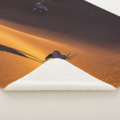 Wüsten | Namib Naukluft National Park Kenya Sherpadecke (3/4)