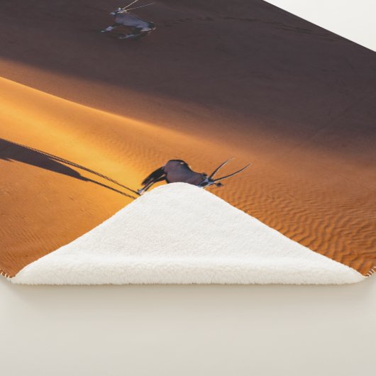 Wüsten | Namib Naukluft National Park Kenya Sherpadecke (3/4)