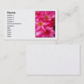 Wüsten-Rose Visitenkarte (Vorne/Hinten)