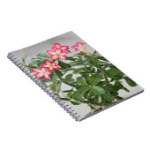 Wüsten-Rosen-Blumen-Pflanze Notizblock (Rechte Seite)