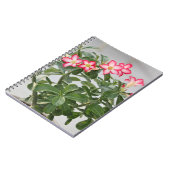 Wüsten-Rosen-Blumen-Pflanze Notizblock (Linke Seite)