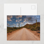 Wüsten | Saguaro Nationalpark Arizona Postkarte (Vorne/Hinten)