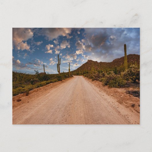 Wüsten | Saguaro Nationalpark Arizona Postkarte (Vorderseite)