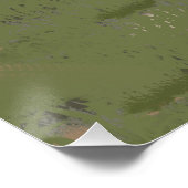 Wüsten See Poster (Ecke)