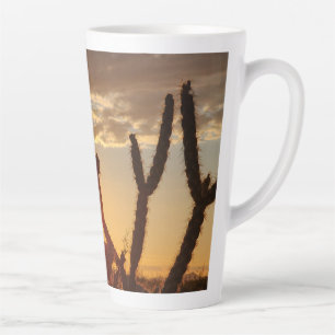 Wüsten-Sonnenuntergang Cholla Kaktus Milchtasse