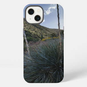 Wüsten-Südwest-Sotol-Pflanzen - Bild aus Arizona iPhone 13 Hülle