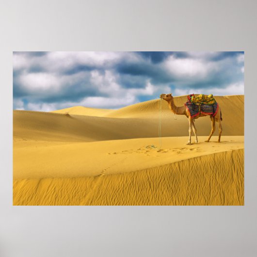 Wüsten | Thar Desert Rajasthan India Camel Poster (Vorne)