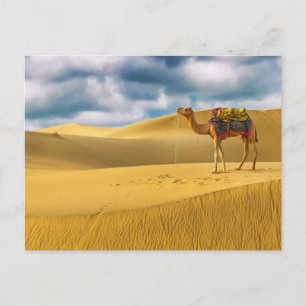 Wüsten   Thar Desert Rajasthan India Camel Postkarte