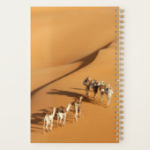 Wüsten | Tuareg Walk mit Kamellen Planer (Rückseite)