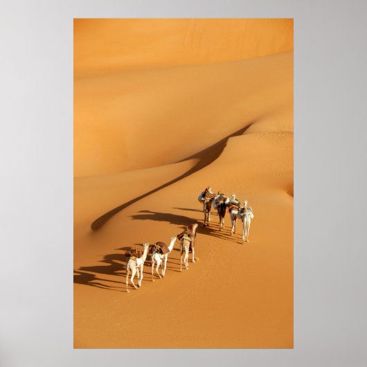Wüsten | Tuareg Walk mit Kamellen Poster (Vorne)