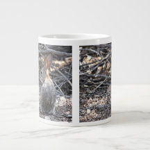 Wüsten-Waldkaninchen - riesige Tasse