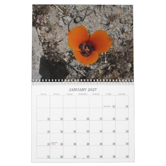 Wüsten-Wildblumen Calander Kalender (Jan 2027)