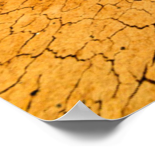 Wüsten | Wüste mit Kuhschädel Poster (Ecke)