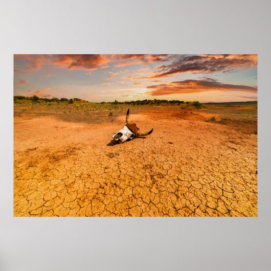 Wüsten | Wüste mit Kuhschädel Poster (Vorne)