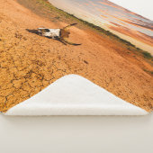 Wüsten | Wüste mit Kuhschädel Sherpadecke (3/4)