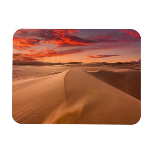 Wüsten | Wüste Vereinigte Arabische Emirate Magnet (Horizontal)