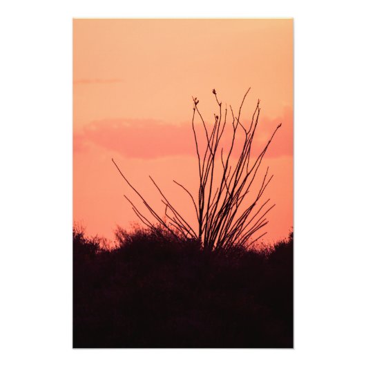 Wüstenabende Fotodruck (Vorne)