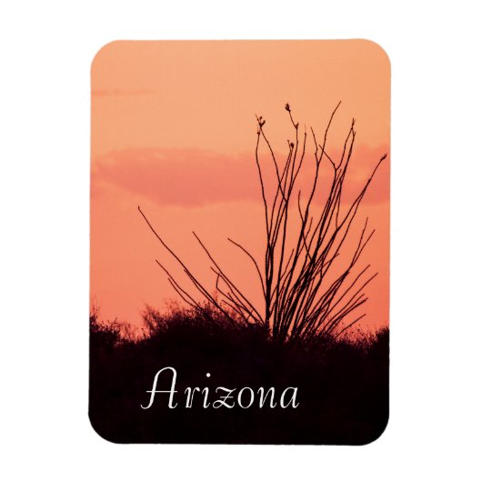 Wüstenabende in Arizona Magnet (Vertikal)
