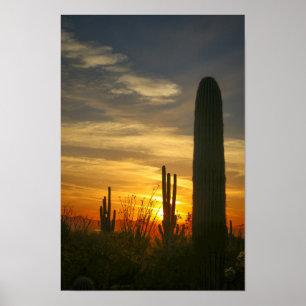 Wüstenabende Poster