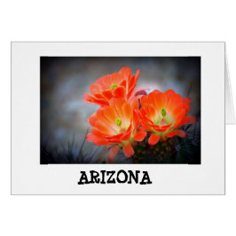 Wüstenablaze Arizona