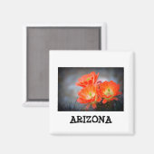 Wüstenablaze Arizona Magnet (Vorderseite/Rückseite)