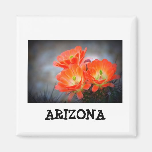 Wüstenablaze Arizona Magnet (Vorne)