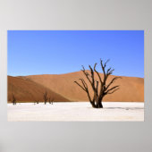 Wüstenbaume Poster (Vorne)