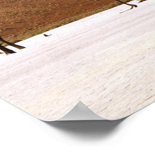 Wüstenbaume Poster (Ecke)