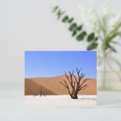 Wüstenbaume Postkarte (Stehend Vorderseite)