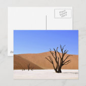 Wüstenbaume Postkarte (Vorne/Hinten)